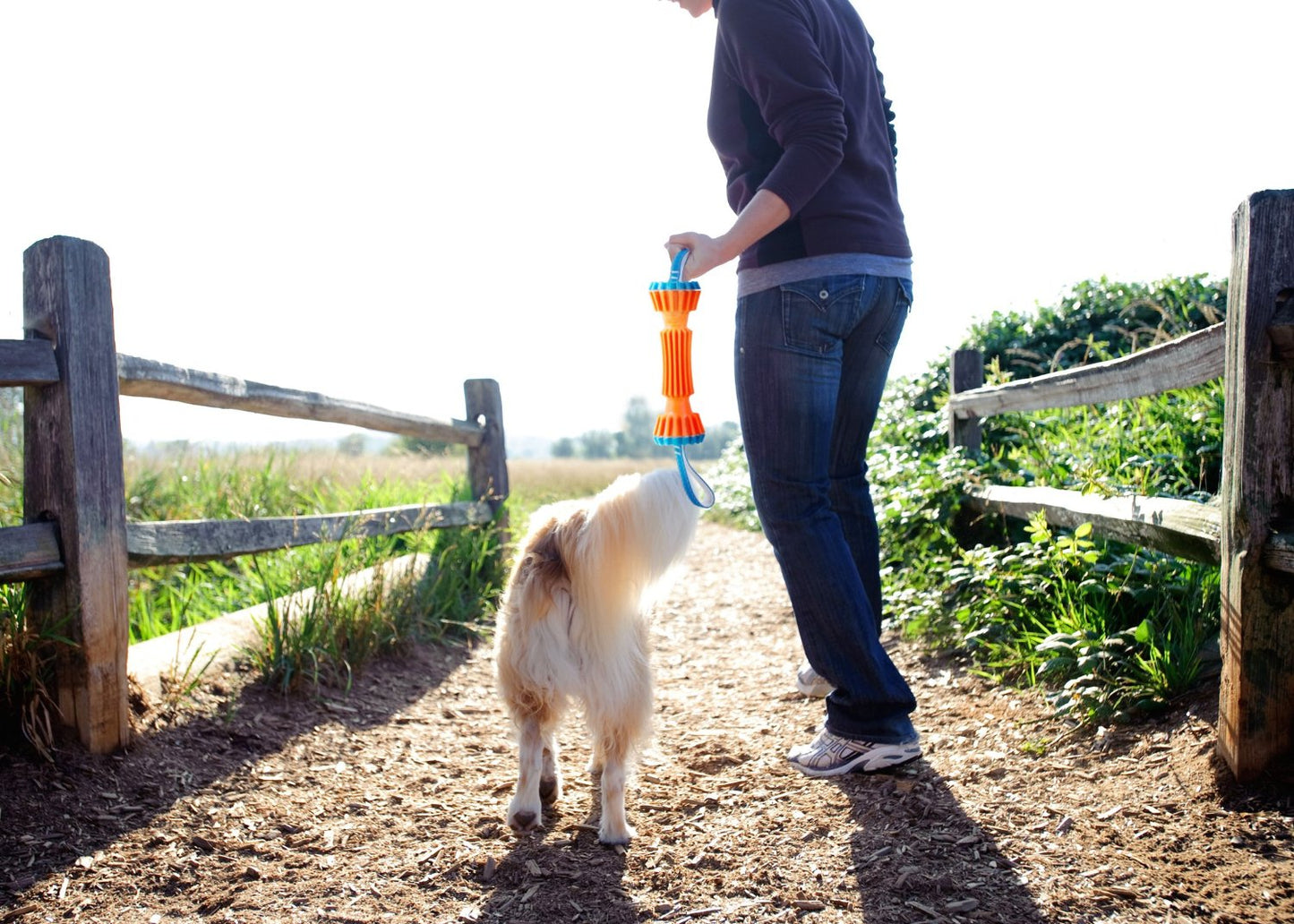 Jouet rebondissant pour chien - Chuckit Rugged Bumper