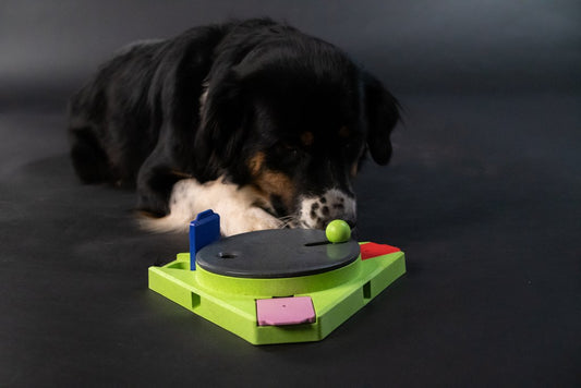 Jouets pour Chien avec Nourriture : Un Moyen Amusant de Stimuler l'Esprit de votre Chien - Canidreams