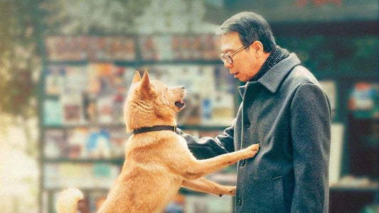 L'histoire émouvante de Hachiko, le chien fidèle - Canidreams