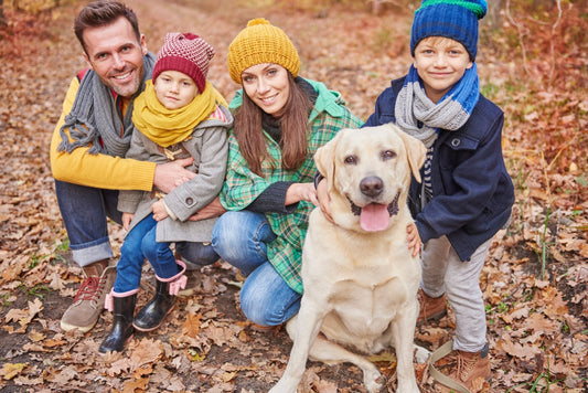 Quel chien choisir pour une famille ? : Le guide complet - Canidreams