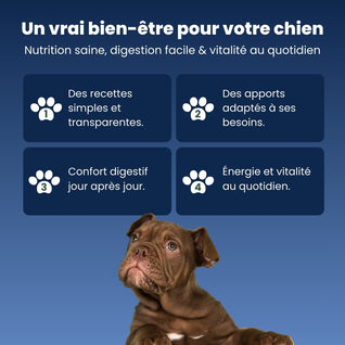 Canidreams Food Adulte - Poulet (Sans céréales)