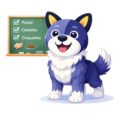 Facile à comprendre