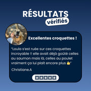 Canidreams Food Adulte - Poulet (Sans céréales)