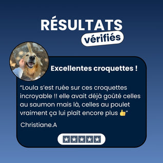 Canidreams Food Adulte - Poulet (Sans céréales)