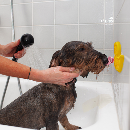 Canard de bain anti anxiété pour chien - AFP