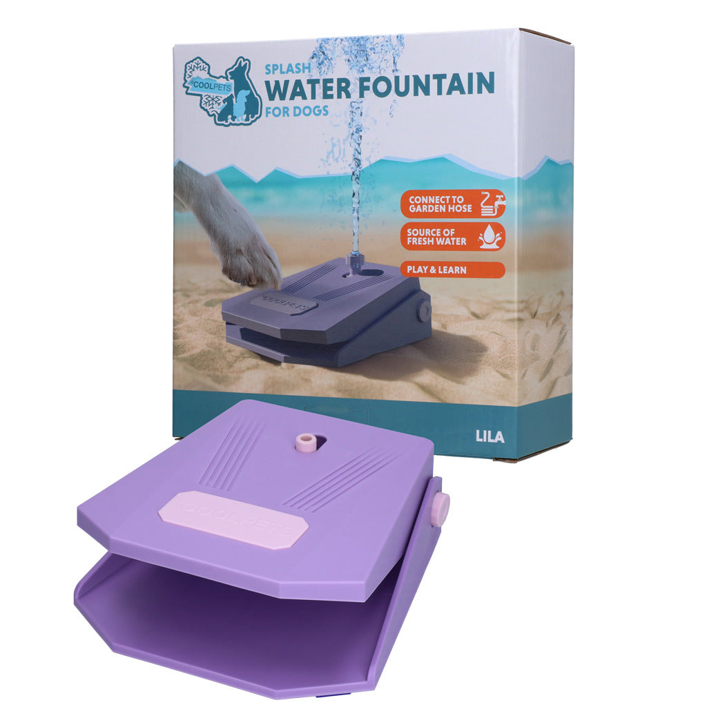 Fontaine à eau pour chien - Coolpets Splash
