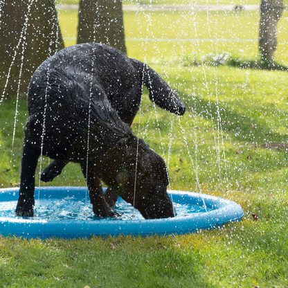 Splash Cool Water - Arroseur de piscine pour chien