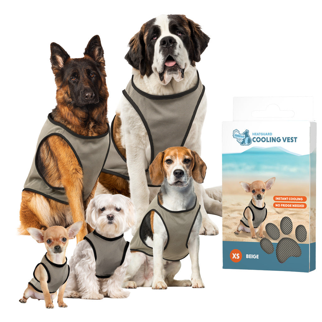 Gilet Rafraîchissant Coolpets pour Chien