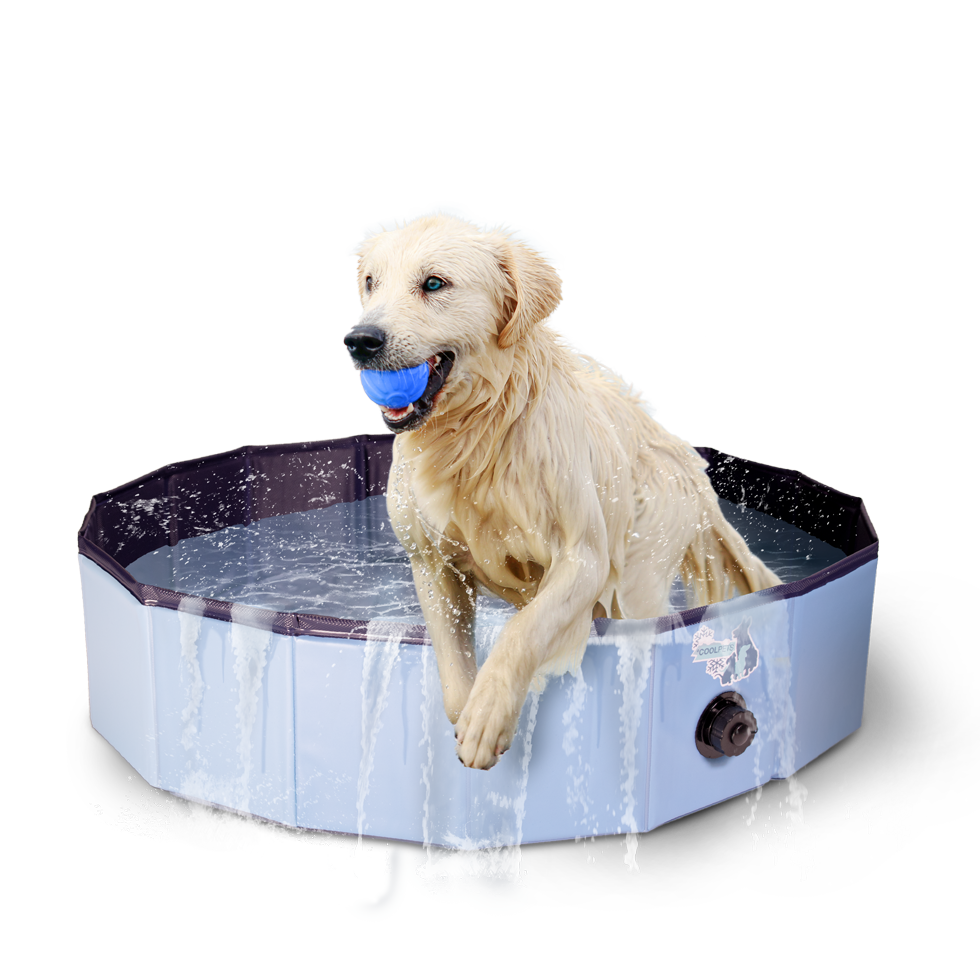 Coolpets - Piscine pour chien (Disponible en 3 dimensions)