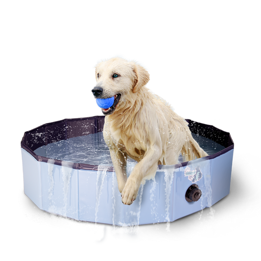 Coolpets - Piscine pour chien (Disponible en 3 dimensions)