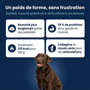 Canidreams Food - Peptide + Contrôle du poids et des articulations