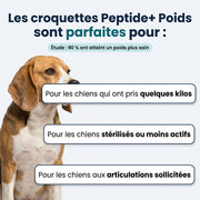 Canidreams Food - Peptide + Contrôle du poids et des articulations