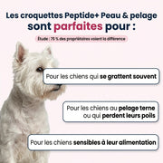 Canidreams Food - Peptide + Soins de la peau et du  pelage