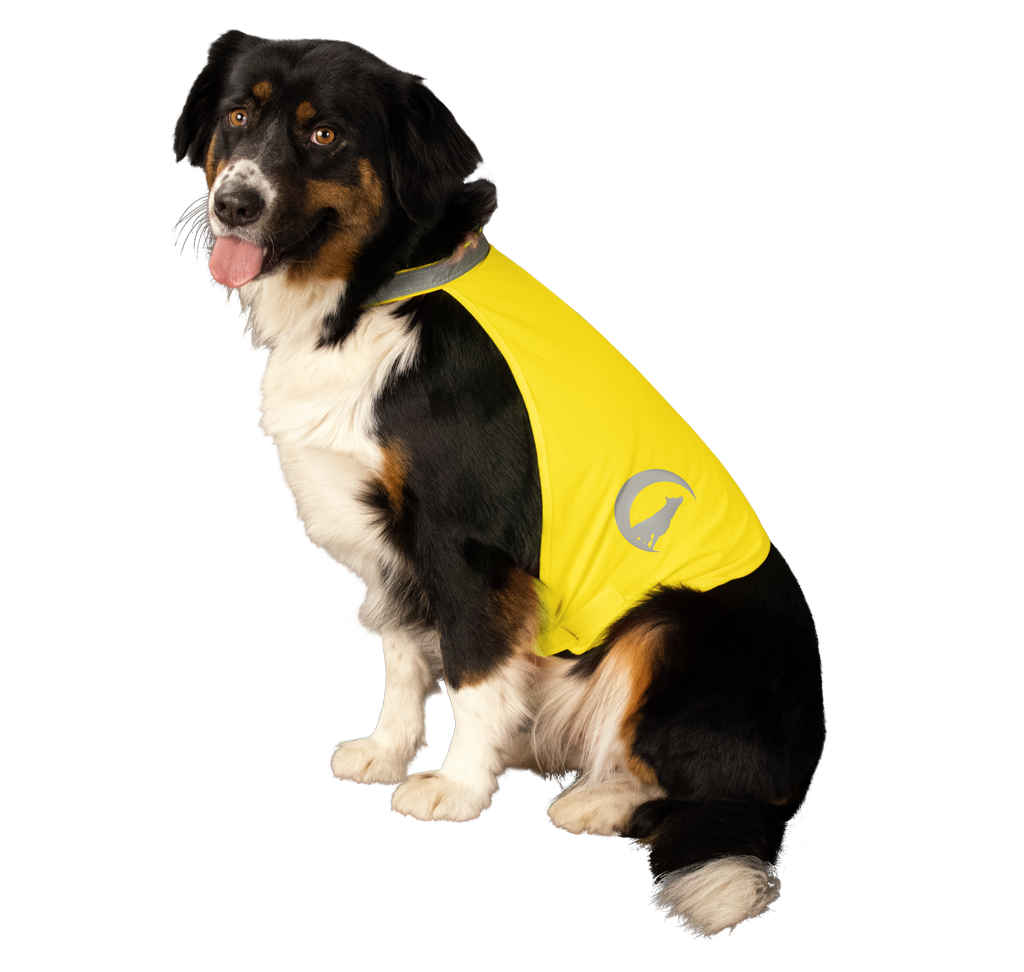 Gilet de sécurité pour chien avec Led - Nightwalk Jaune