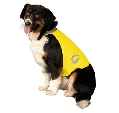 Gilet de sécurité pour chien avec Led - Nightwalk Jaune