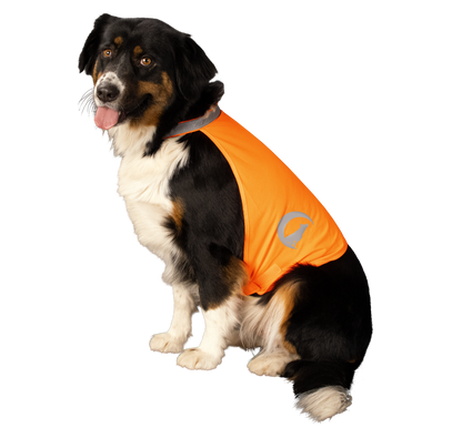 Gilet de sécurité pour chien avec Led - Nightwalk Orange