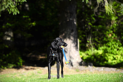 Balle avec corde pour chien - Chuckit Ultra Duo tug - Canidreams