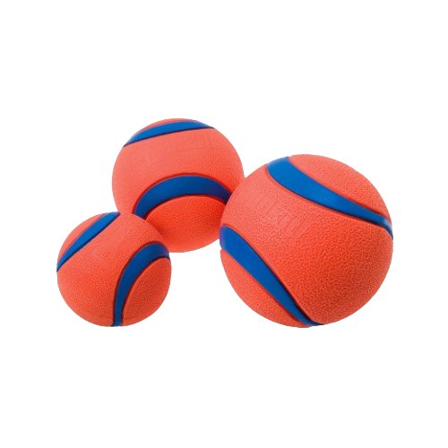 Balle ultra résistante pour chien - Chuckit Ultra Ball