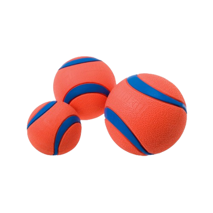 Balle ultra résistante pour chien - Chuckit Ultra Ball