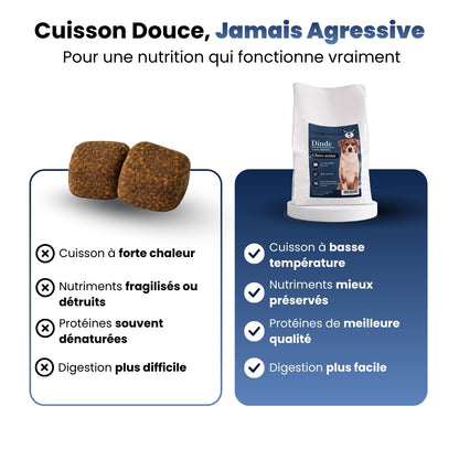 Canidreams Food Adulte - Saumon (Sans céréales)