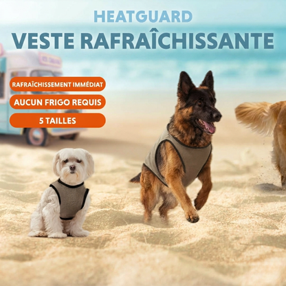 Gilet Rafraîchissant Coolpets pour Chien