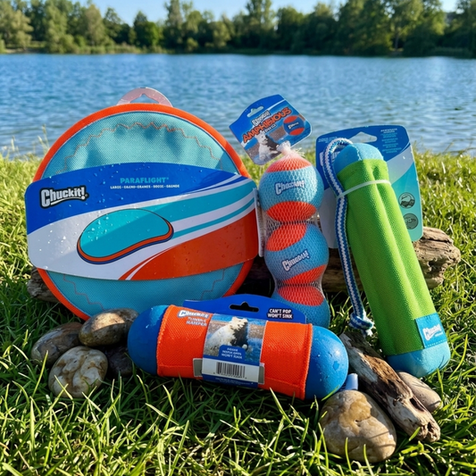 🥏 Pack Sport & Jeu Amphibie