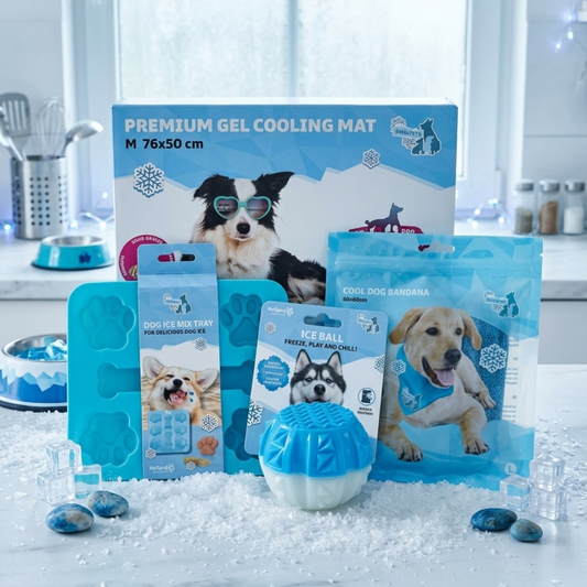 🧊 Pack Fraîcheur Maison