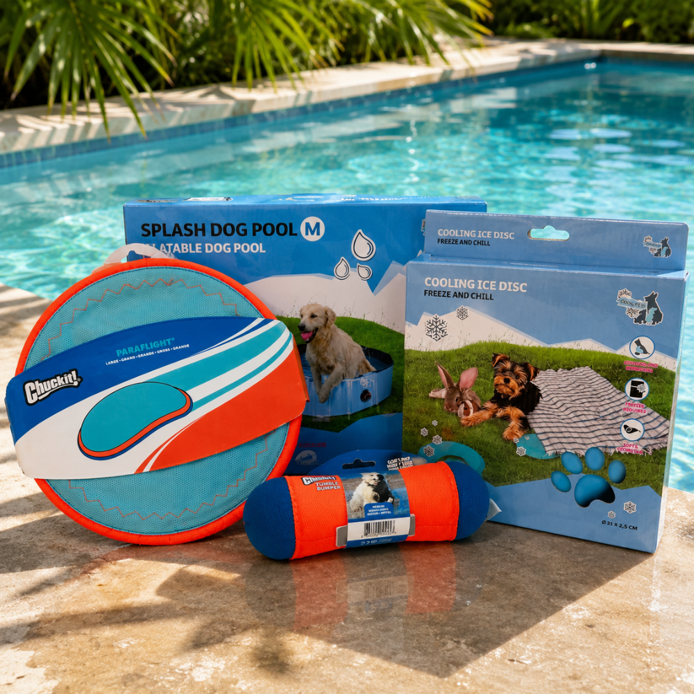 🏊 Pack Natation & Piscine