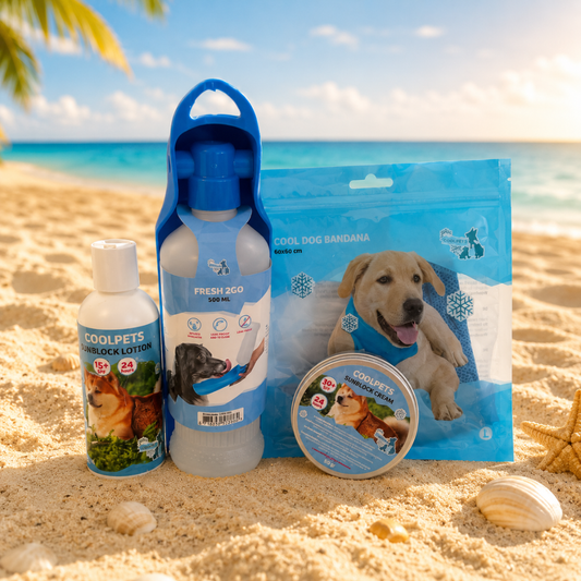 🏖️Pack Balade & Plage