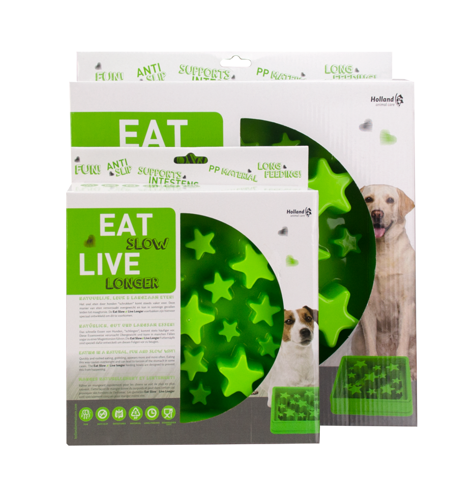 Bol Anti-glouton Étoile S - Eat Slow Live Longer Vert